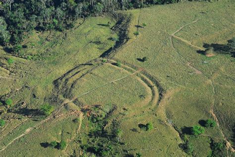  「白い道」: 神秘的で魅惑的な古代ブラジルの風景